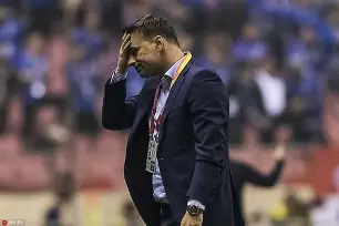 开云中国-上海绿地申花百度百科